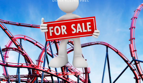 Navigating the Real Estate Roller Coaster: Buyer and Seller Tips for Success