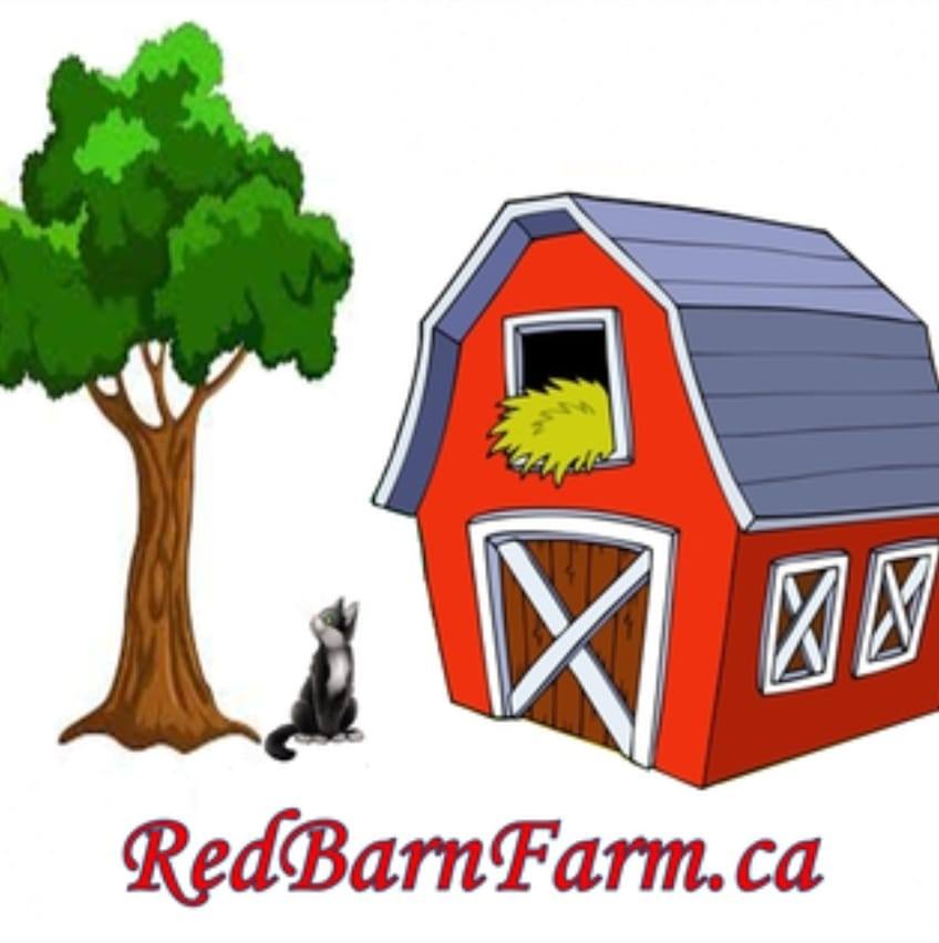 Red Barn Farm: Creston’s Home for Gardeners and Homesteaders