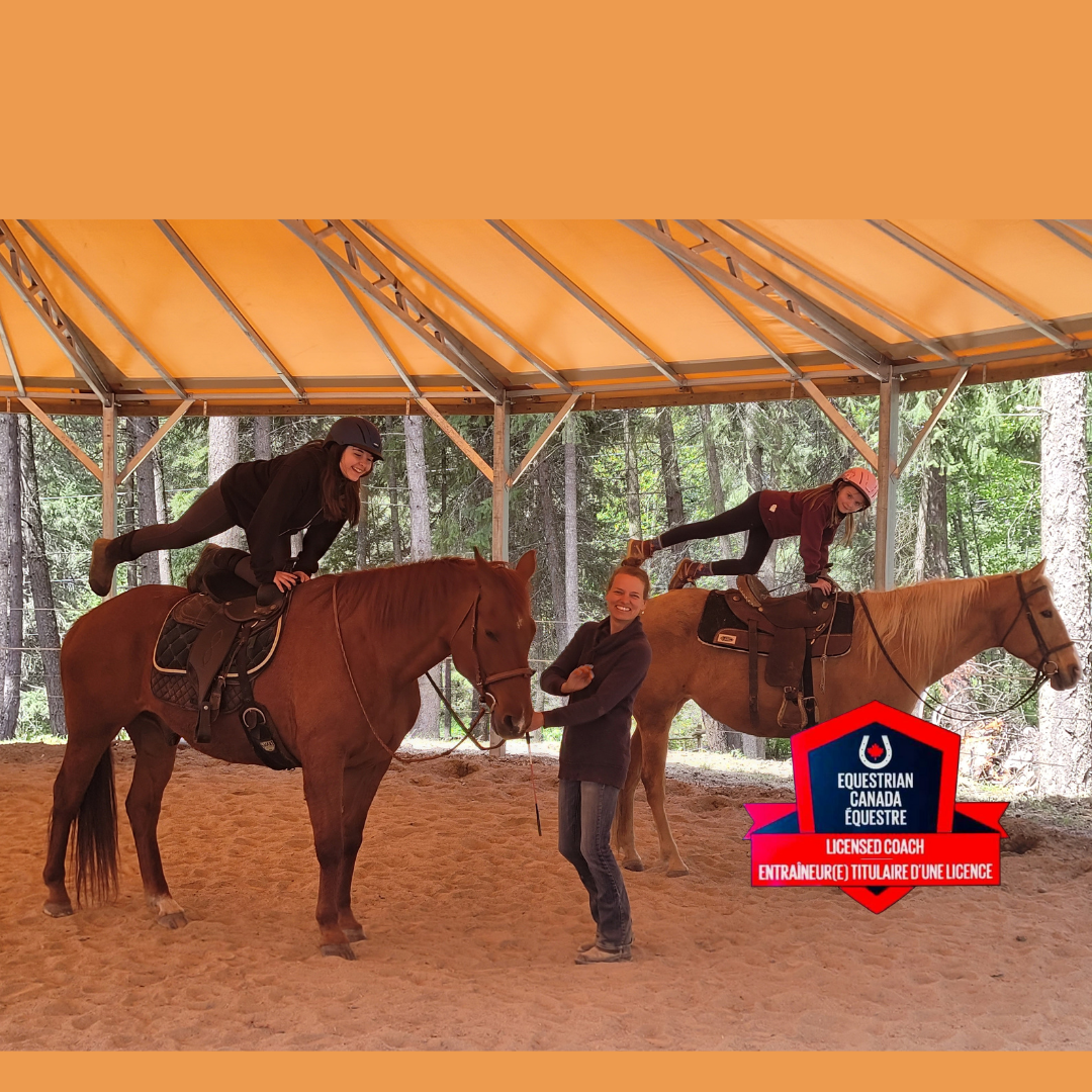 Elevate Your Riding with Joyce Wolters: Expert Equestrian Coaching in Creston, BC