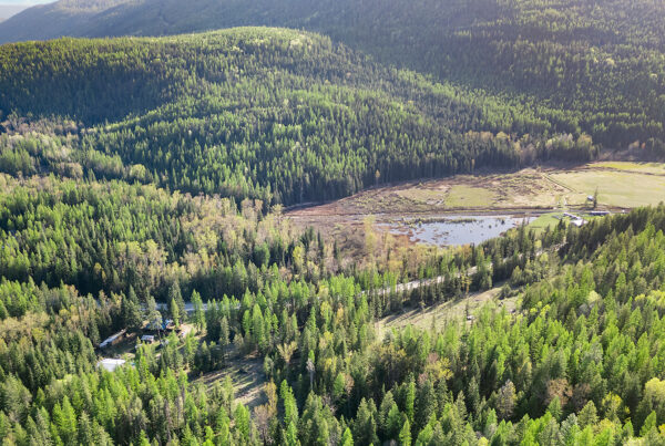 DL4592 Highway 3 – 31-Acre Kootenay Property with Creeks, Wildlife & Crown Land Access