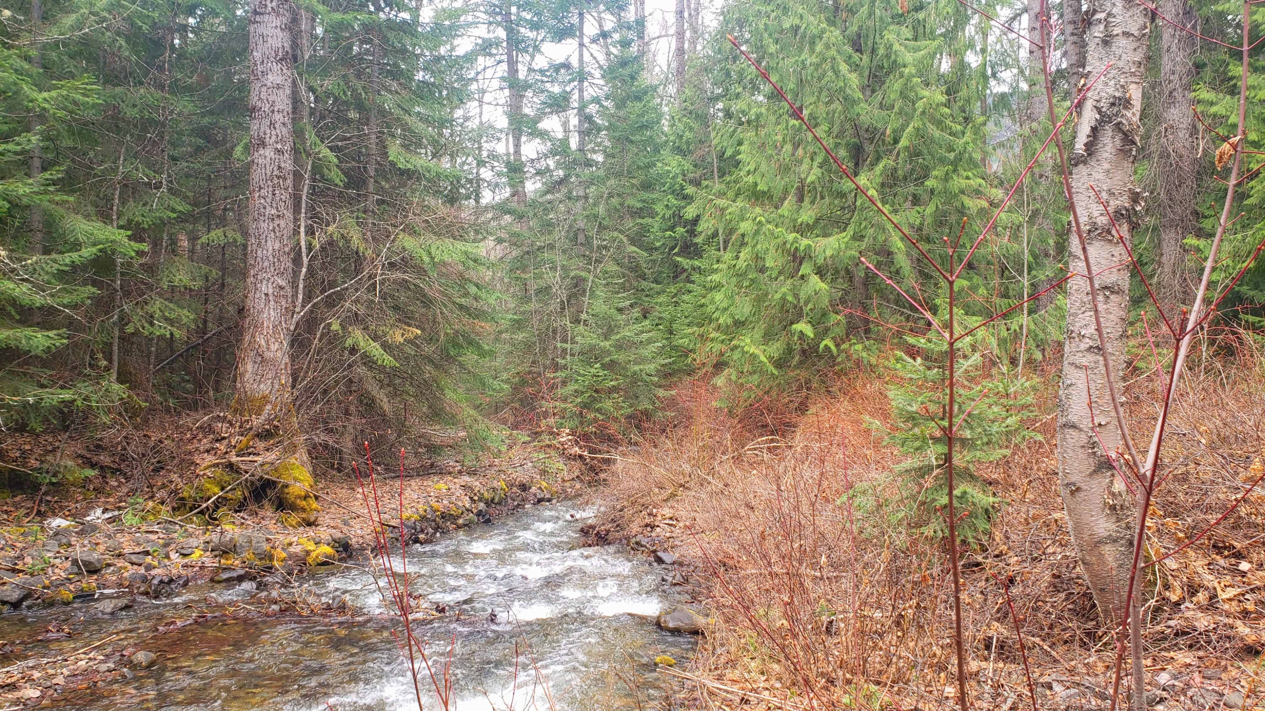 creek
