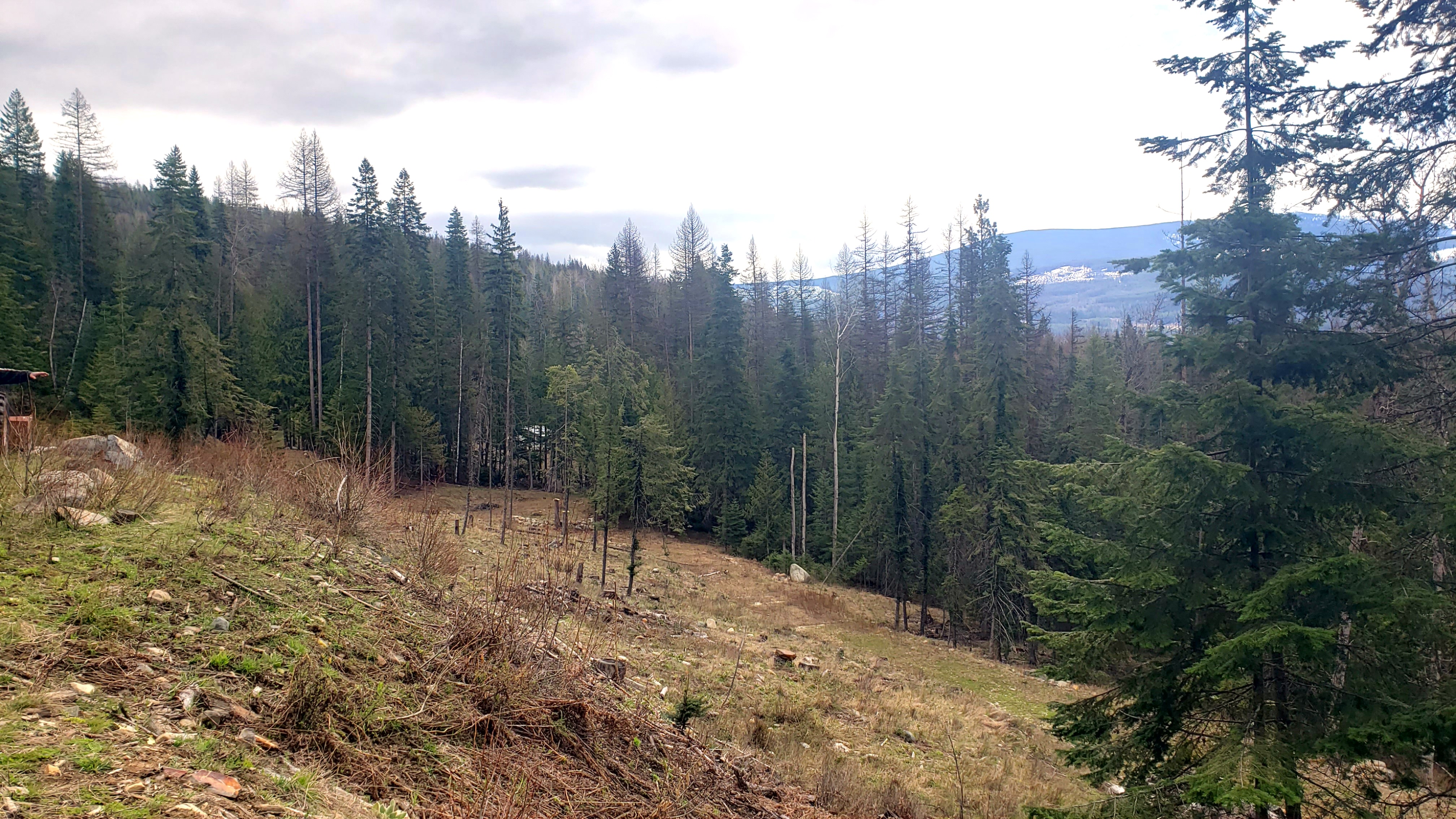 hillside